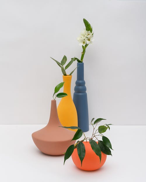 Free Photo of Plants on Colored Pots Stock Photo