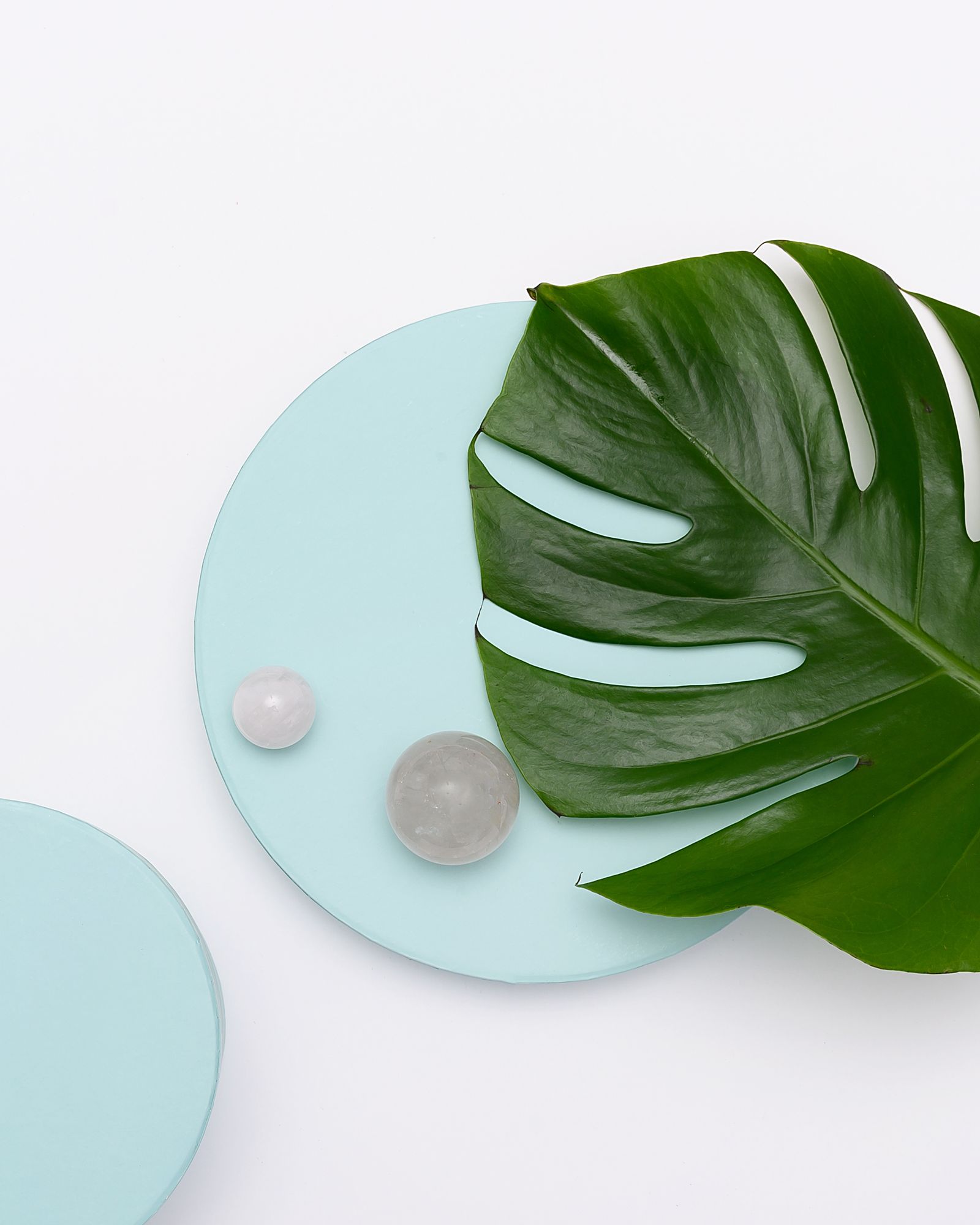 Lush monstera leaves filling the frame