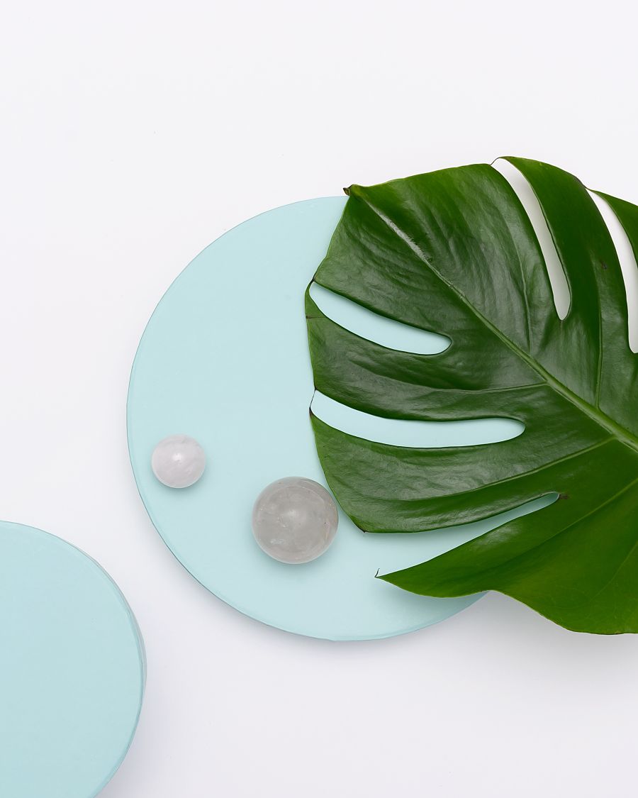 Lush monstera leaves filling the frame