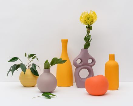 Photo of Plants on Different Kinds of Container