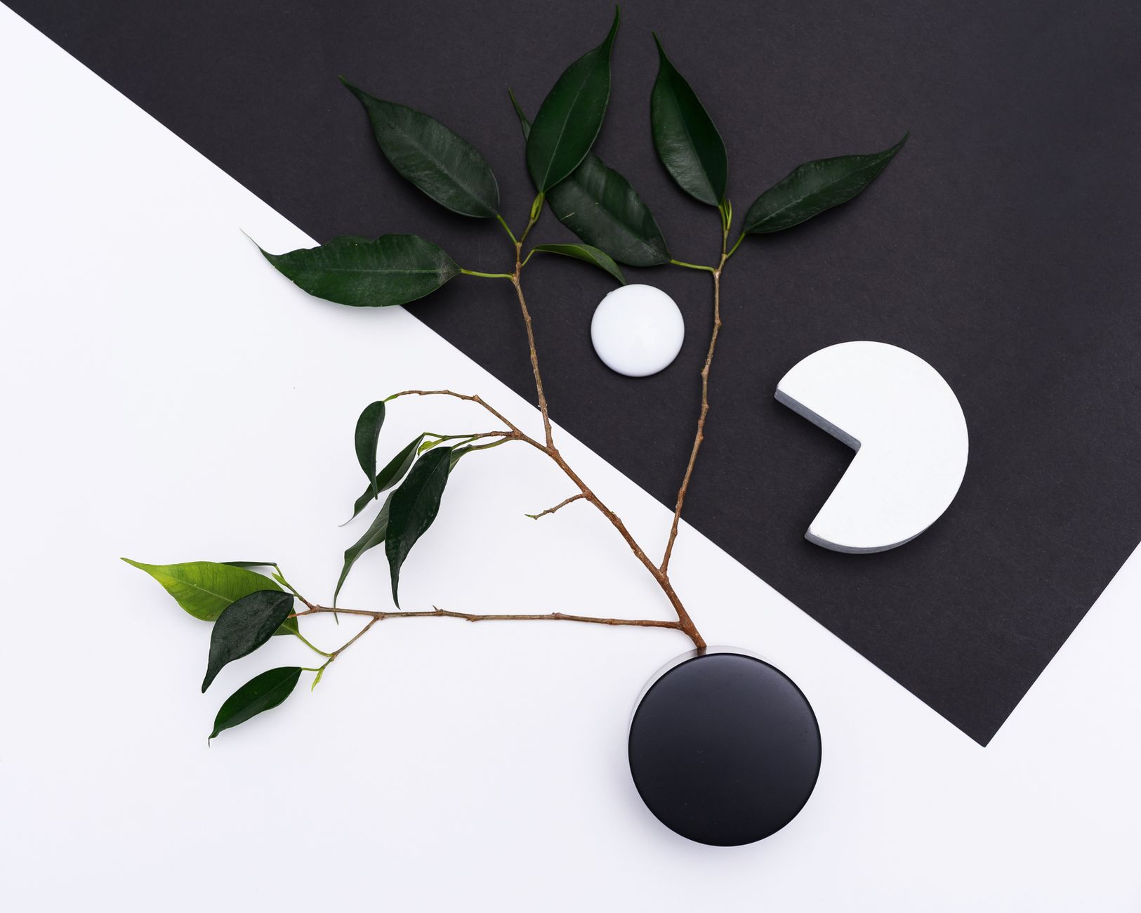 Elegant flat lay of green leaves with black and white geometric objects on a minimalist background.