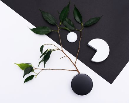 Elegant flat lay of green leaves with black and white geometric objects on a minimalist background.