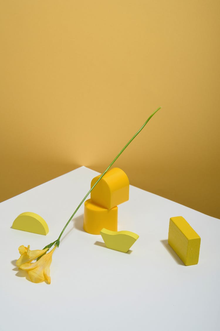 Photo Of Yellow Bell Flower Leaning On Geometric Shapes