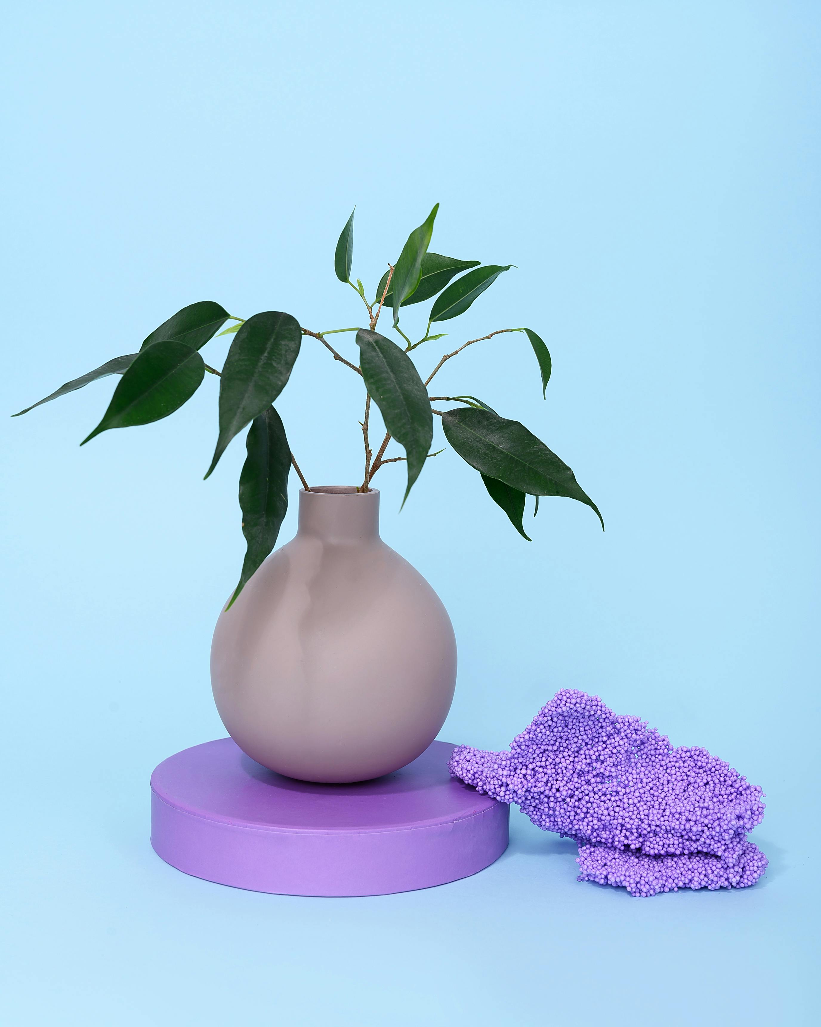 Stylish rounded vase with greenery on a pastel backdrop, perfect for minimal decor.