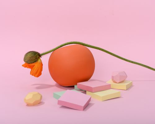 Free Vibrant still life featuring a poppy flower and geometric shapes on a pink background. Stock Photo