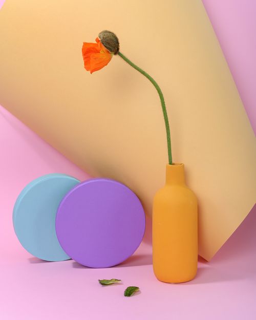 Free A vibrant, minimalist still life featuring an orange poppy in a vase with colorful geometric shapes. Stock Photo