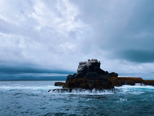 Free Seascape with Birds Perching on Rocks and Overcast Stock Photo