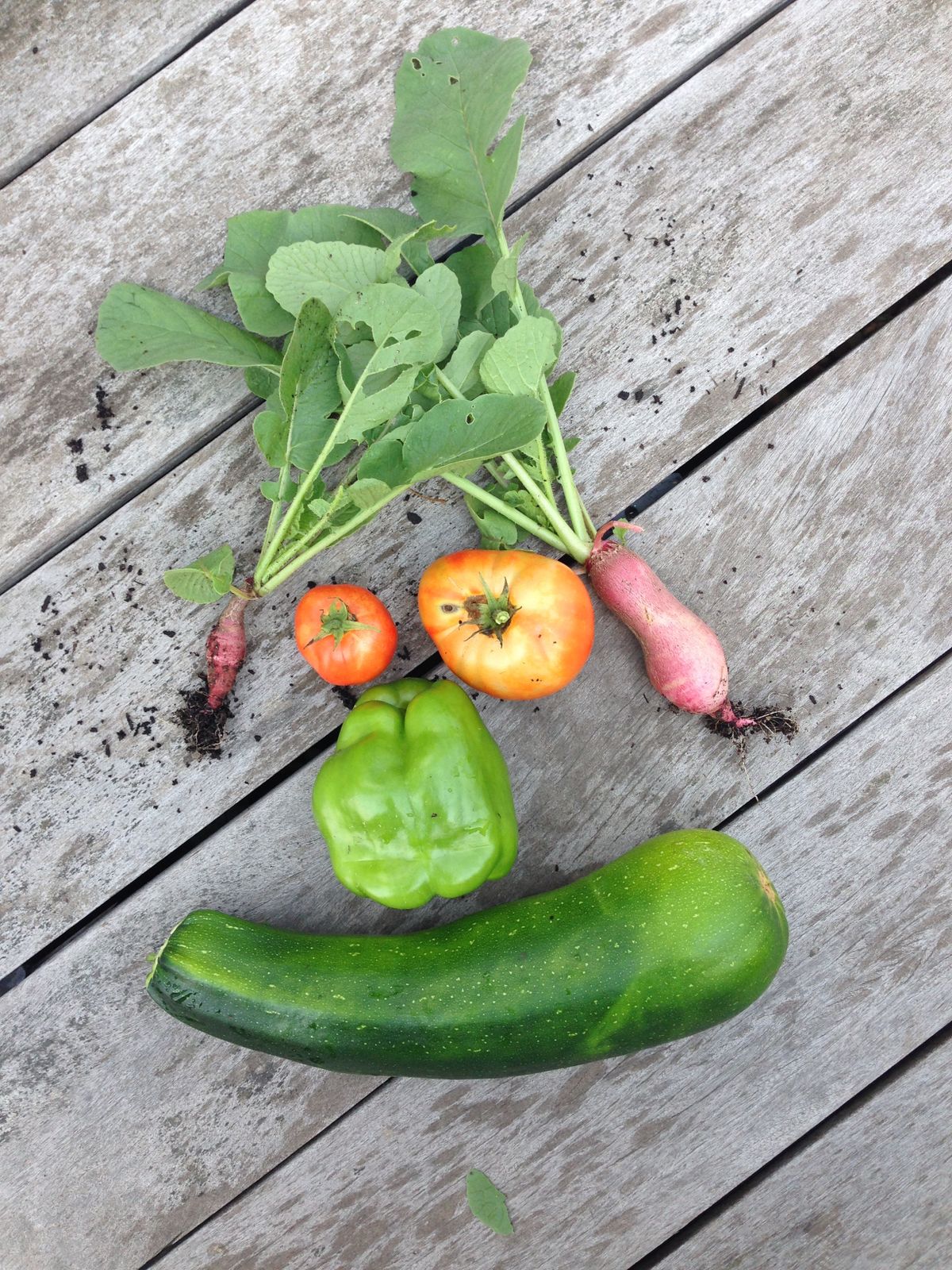 Tomates, concombres et courgettes, légumes de saison frais pour l'été