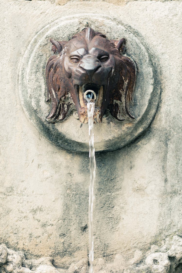 Lion Gargoyle With Water 