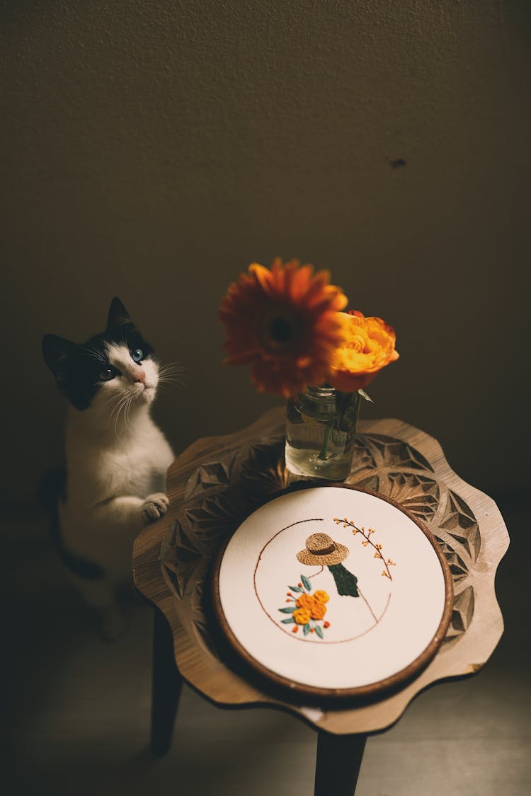 Cat Near Wooden Table With Flowers