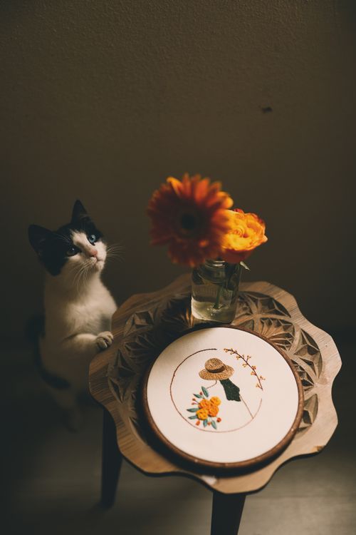 Free Cute black and white cat beside table with floral embroidery and flowers in vase. Stock Photo
