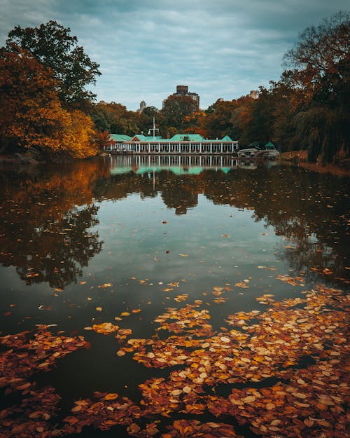 Základová fotografie zdarma na téma budovy, central park, jezero