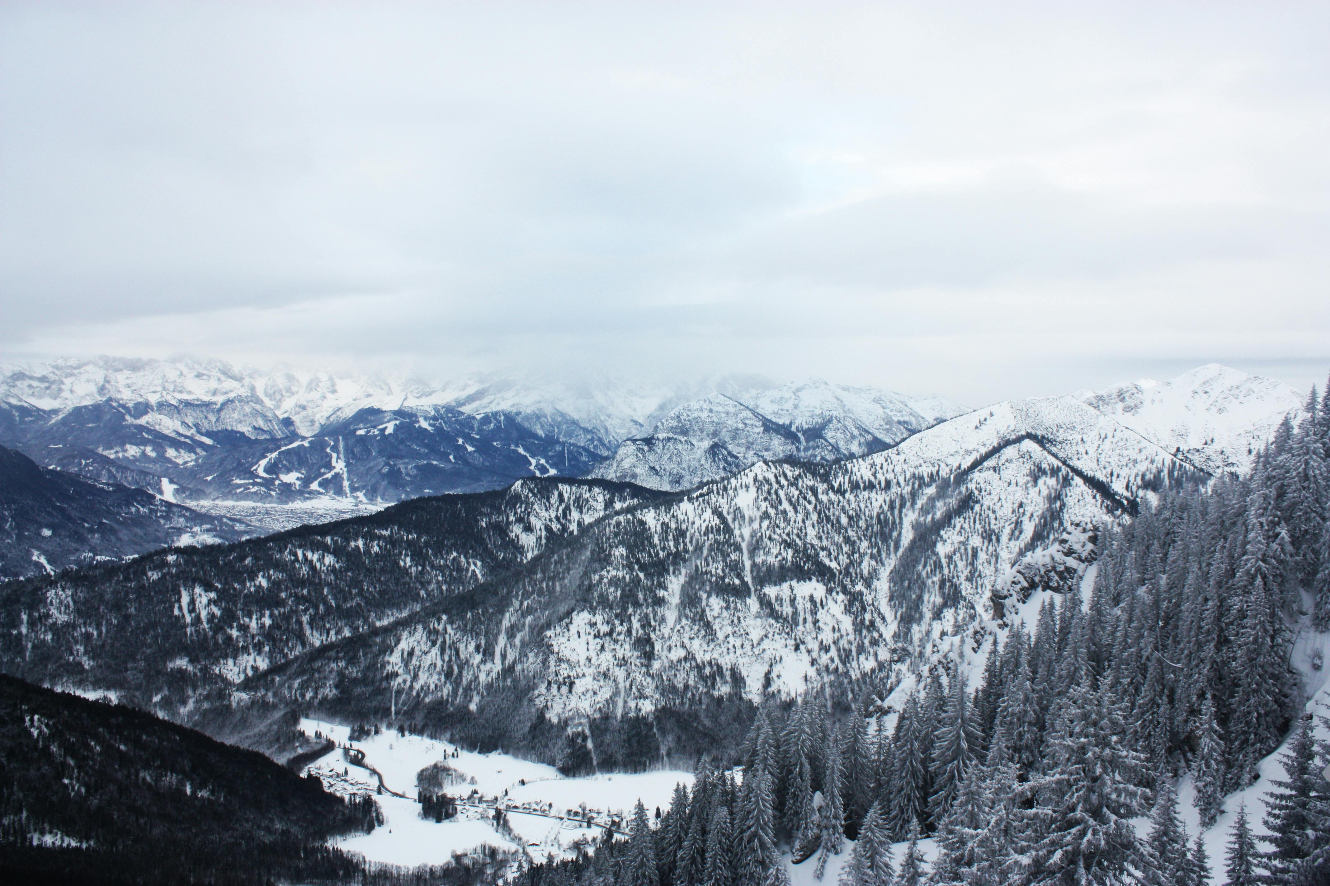 Kostenloses Foto zum Thema: alpen, bäume, berge