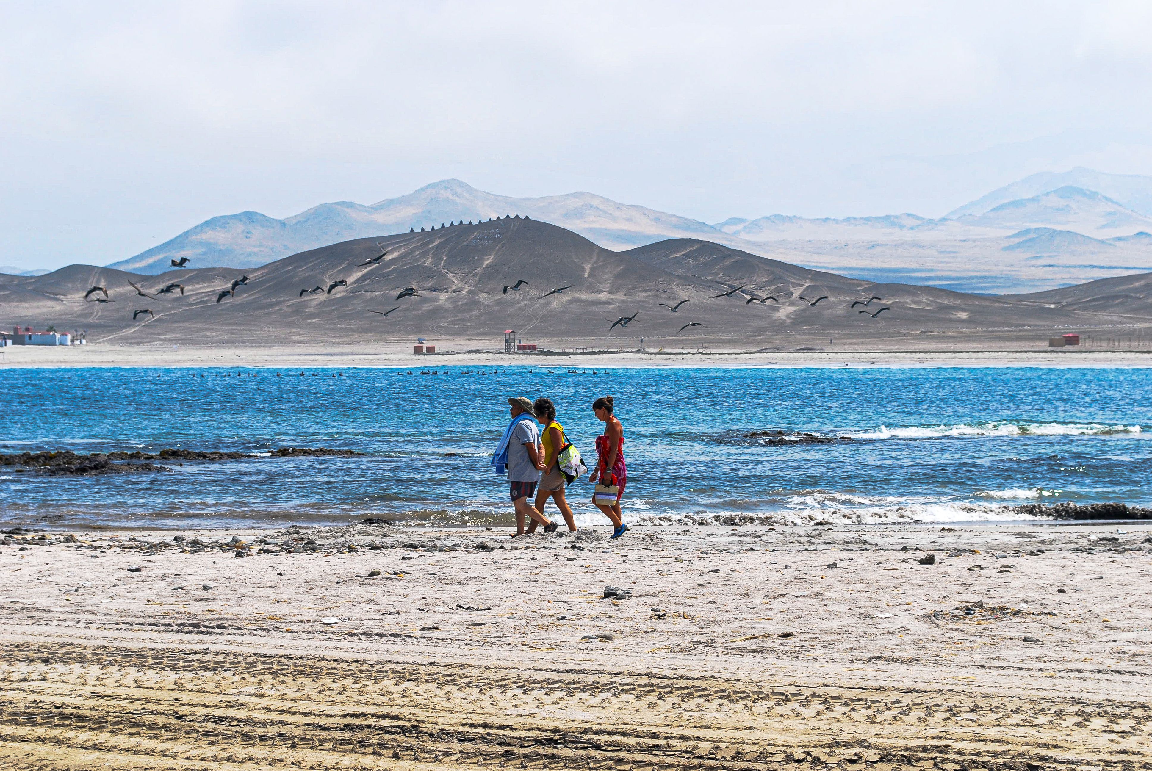 A group strolling along the scenic Paracas beach with distant mountains and flying birds. - Paracas