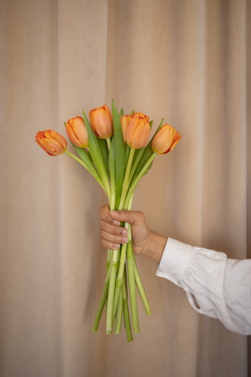 Imagine de stoc gratuită din flori portocalii, fotografiere verticală, frumos