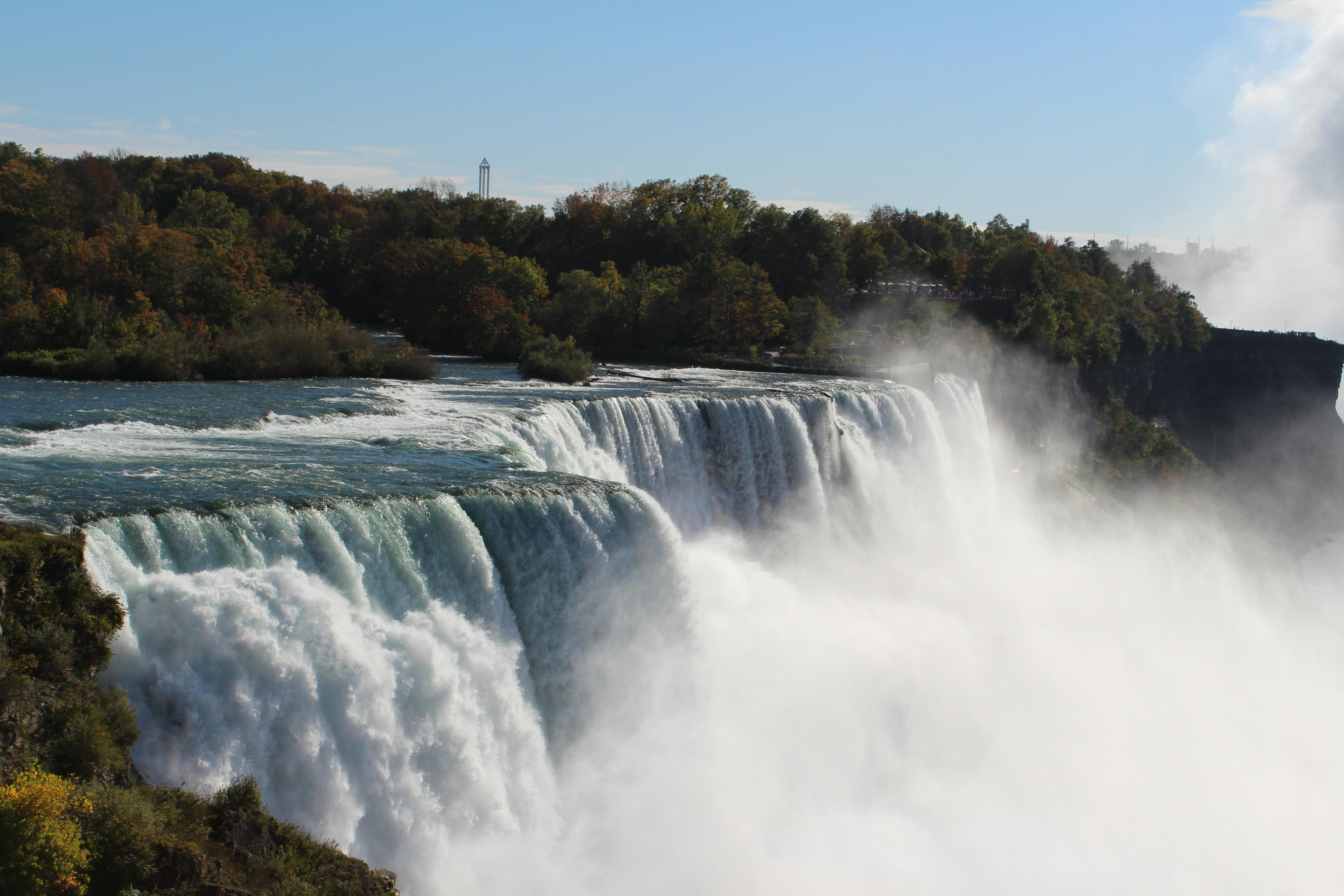Niagara USA chamber announces search for new executive director — Photo by Edward Kriewaldt on Pexels