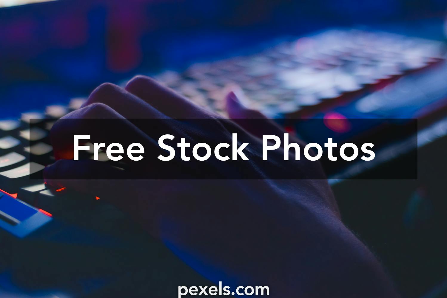1000 Engaging Gaming Photos Pexels Free Stock Photos