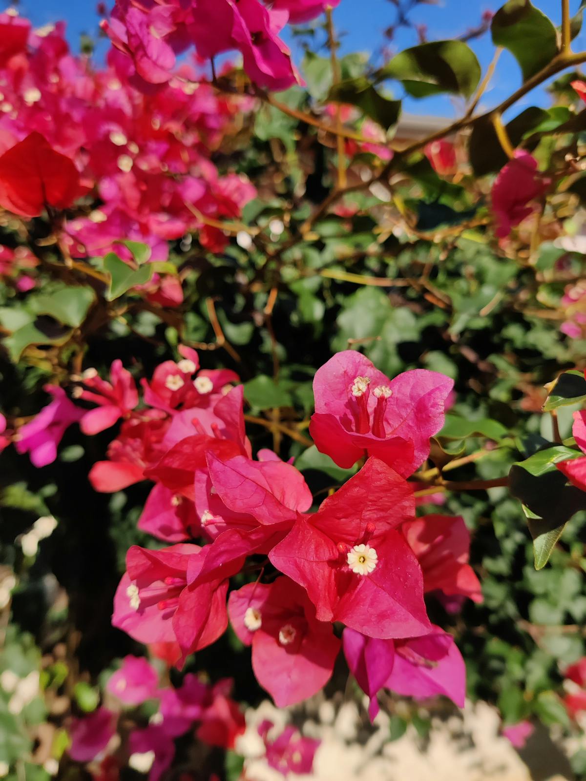 Researchers testing AI systems and reviewing safety results on multiple computer monitors