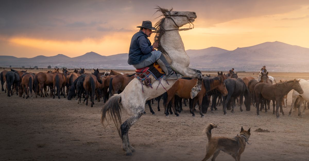 Man Rode Image Man Riding a Horse · Free Stock Photo