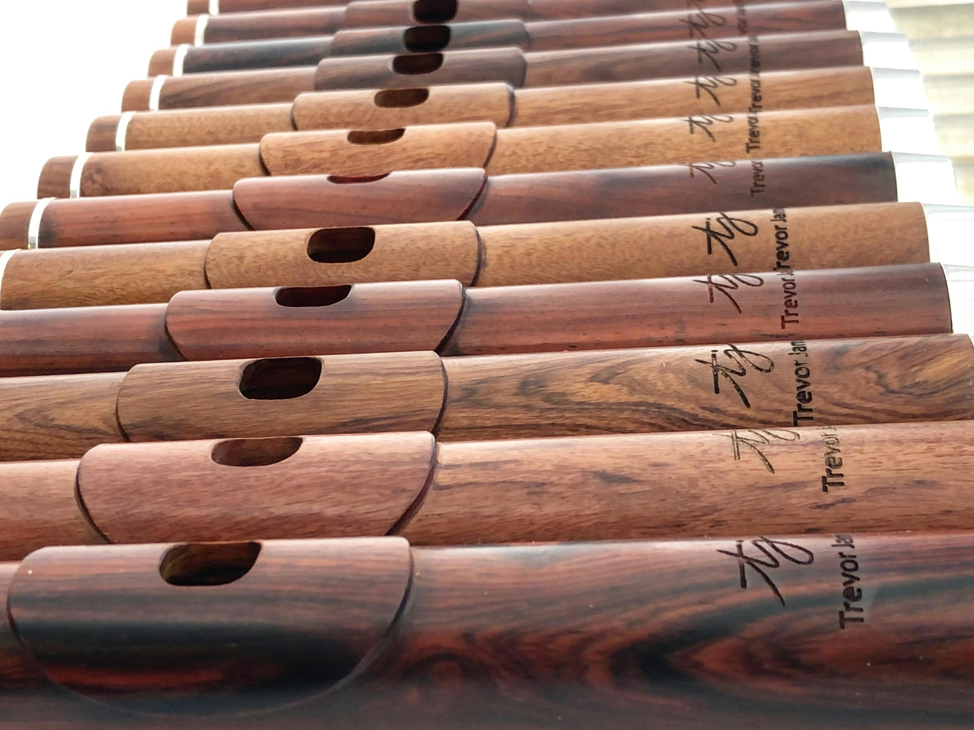 Scientist examining milk samples in a laboratory