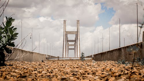 Free stock photo of bridge, bridges, brown