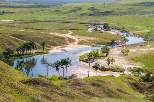 River on Green Grass Field 