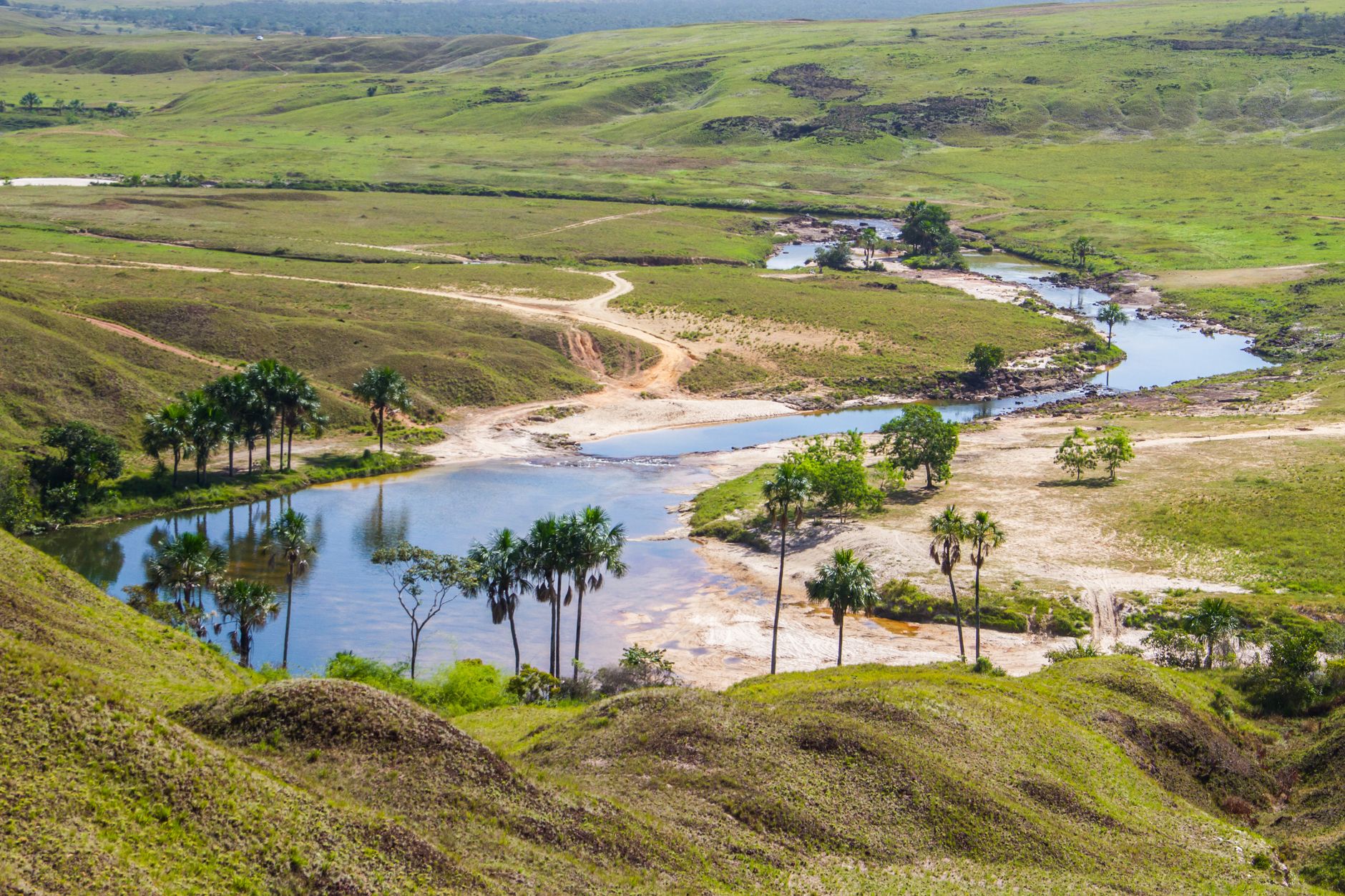 Los llanos venezolanos
