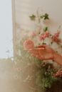 Person Holding Pink Flower