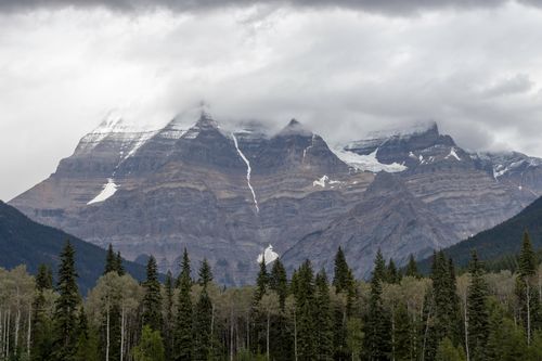 Free Stunning view of mountains with snow and clouds, framed by a dense forest. Stock Photo
