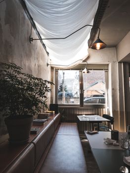 A sunlit cozy cafe interior in Seoul with modern elements and a potted plant.