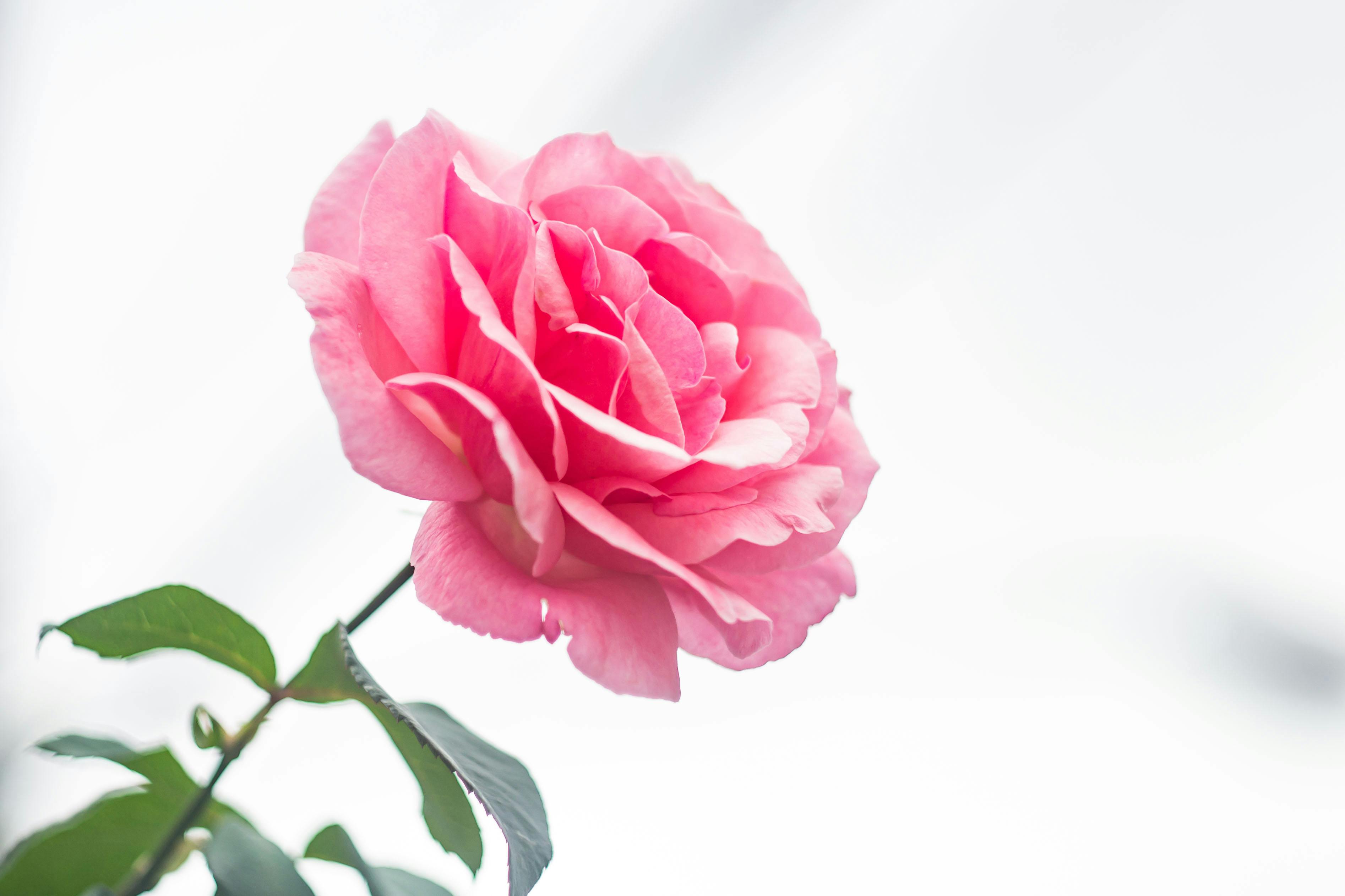 Bộ đề thi cuối học kì 2 lớp 3 năm 2019 - 2020 Có đáp án: Ôn tập và chuẩn bị cho kỳ thi cuối học kì Image