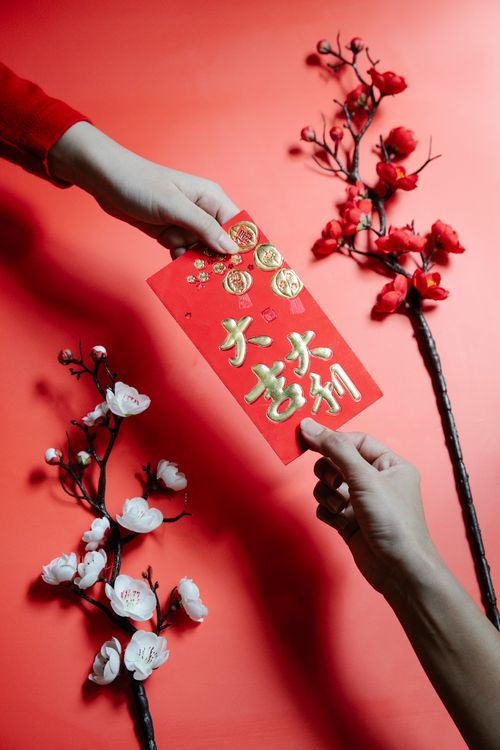 Free A traditional red envelope handed over against red and white cherry blossoms, symbolizing Chinese New Year gifting. Stock Photo