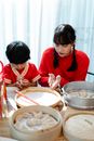 High angle of concentrated teen girl explaining little boy to make jiaozi dumplings at table in kitchen