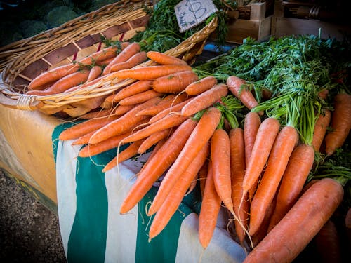 Carrot Lot