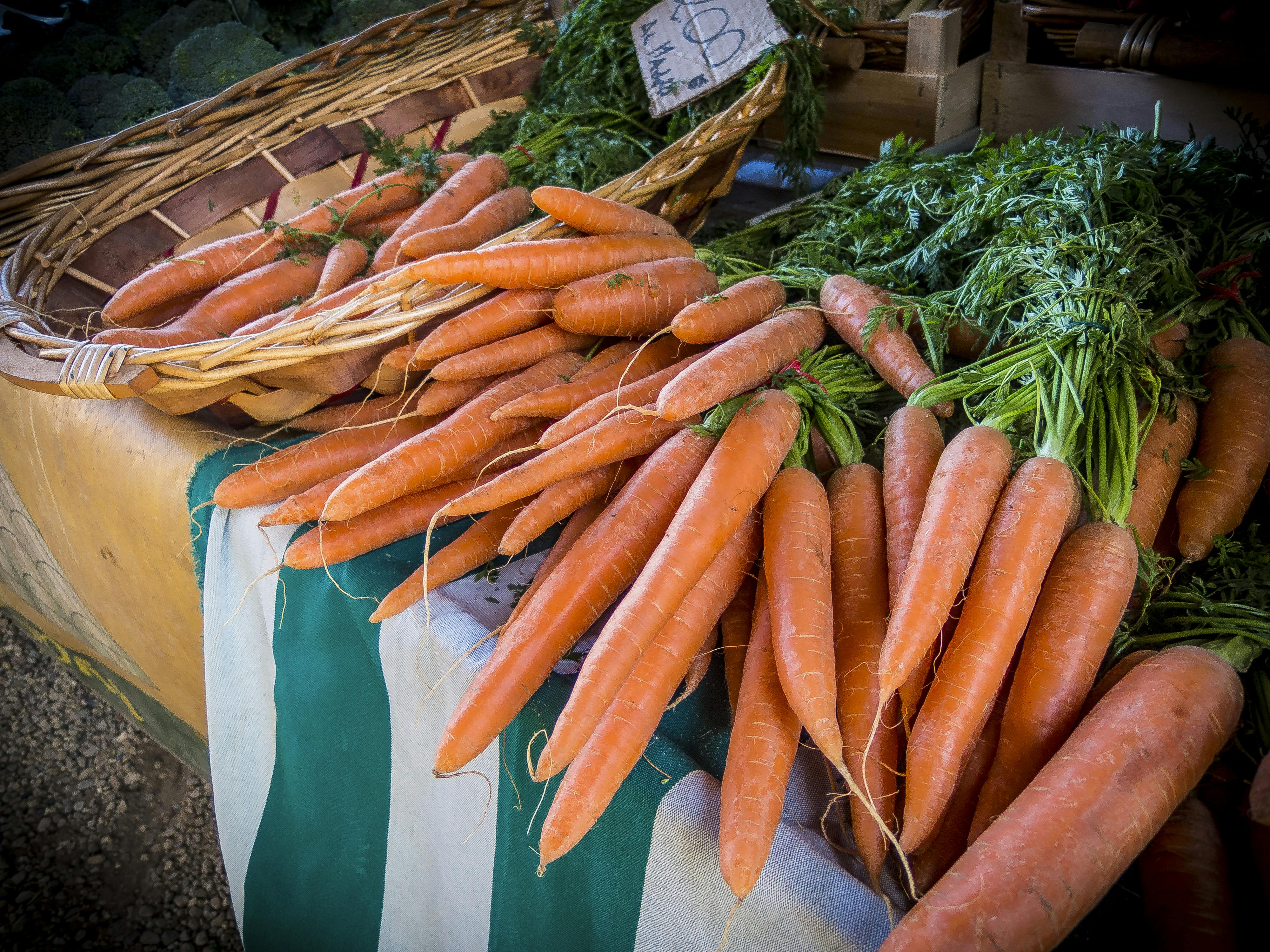 Carrot Lot · Free Stock Photo