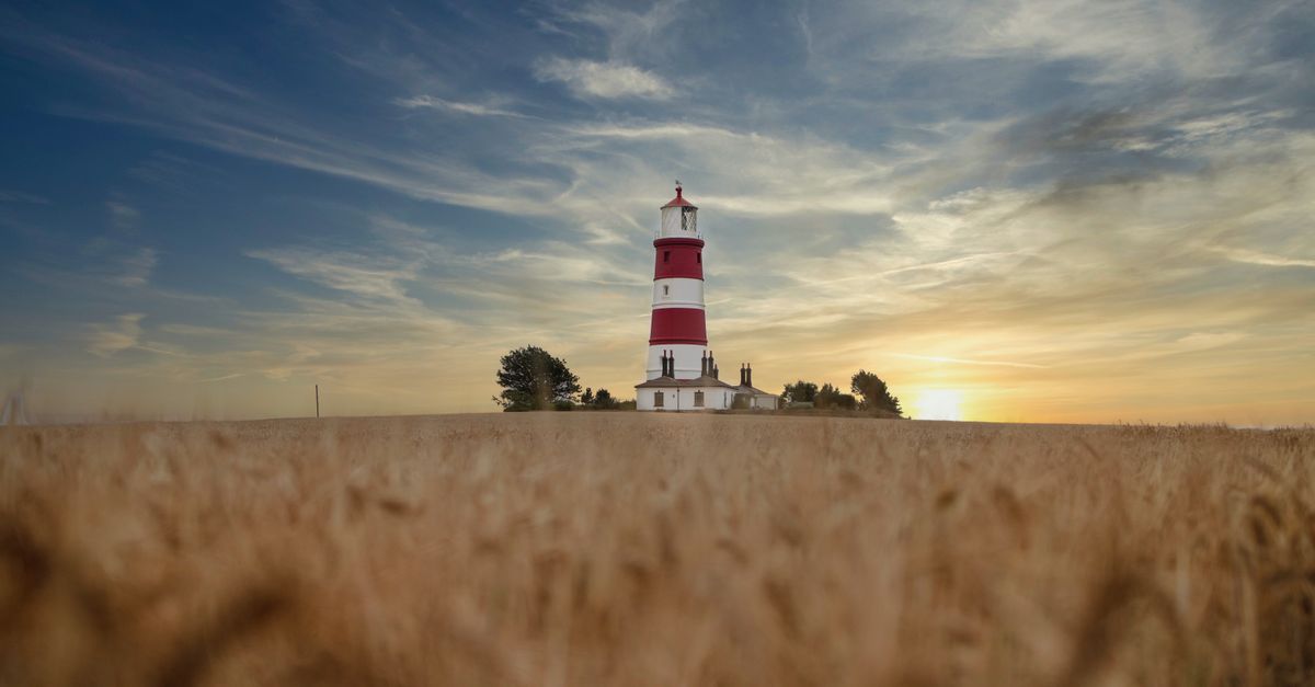 Scenic view of a lighthouse in the English countryside at sunrise, surrounded by a wheat field.