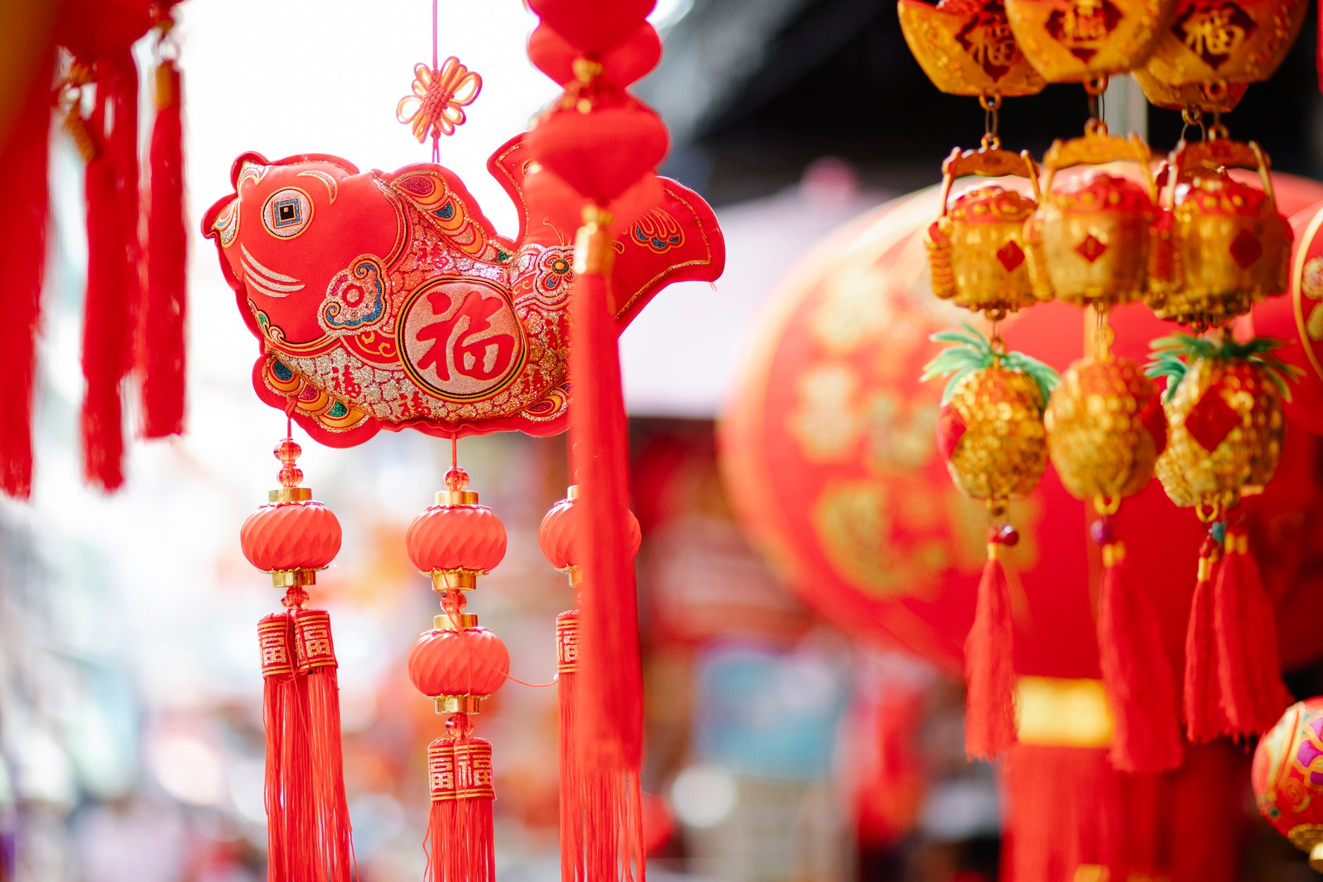 https://www.pexels.com/photo/traditional-oriental-lanterns-and-decor-hanging-on-street-7364082/