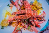 Red and Yellow Shrimp on White Ceramic Plate