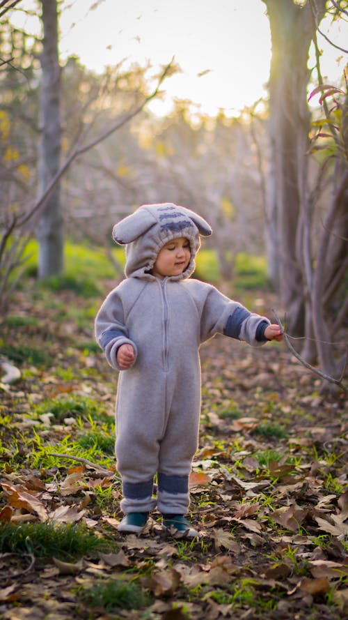 Free stock photo of forest, toddler