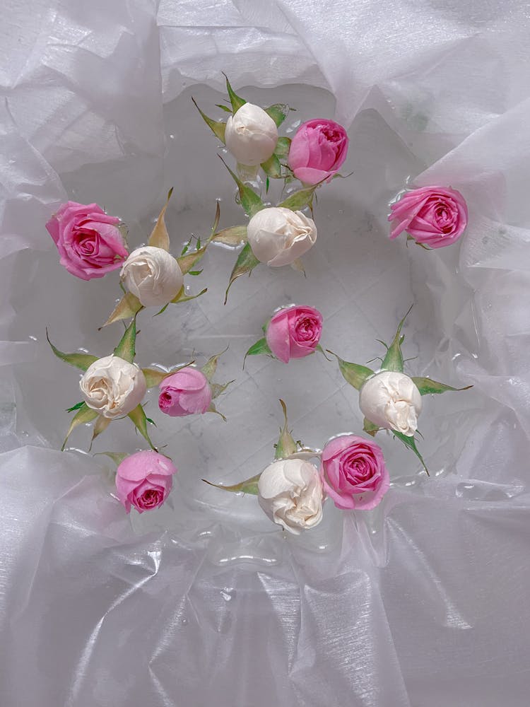 Pink And White Roses Decoration 