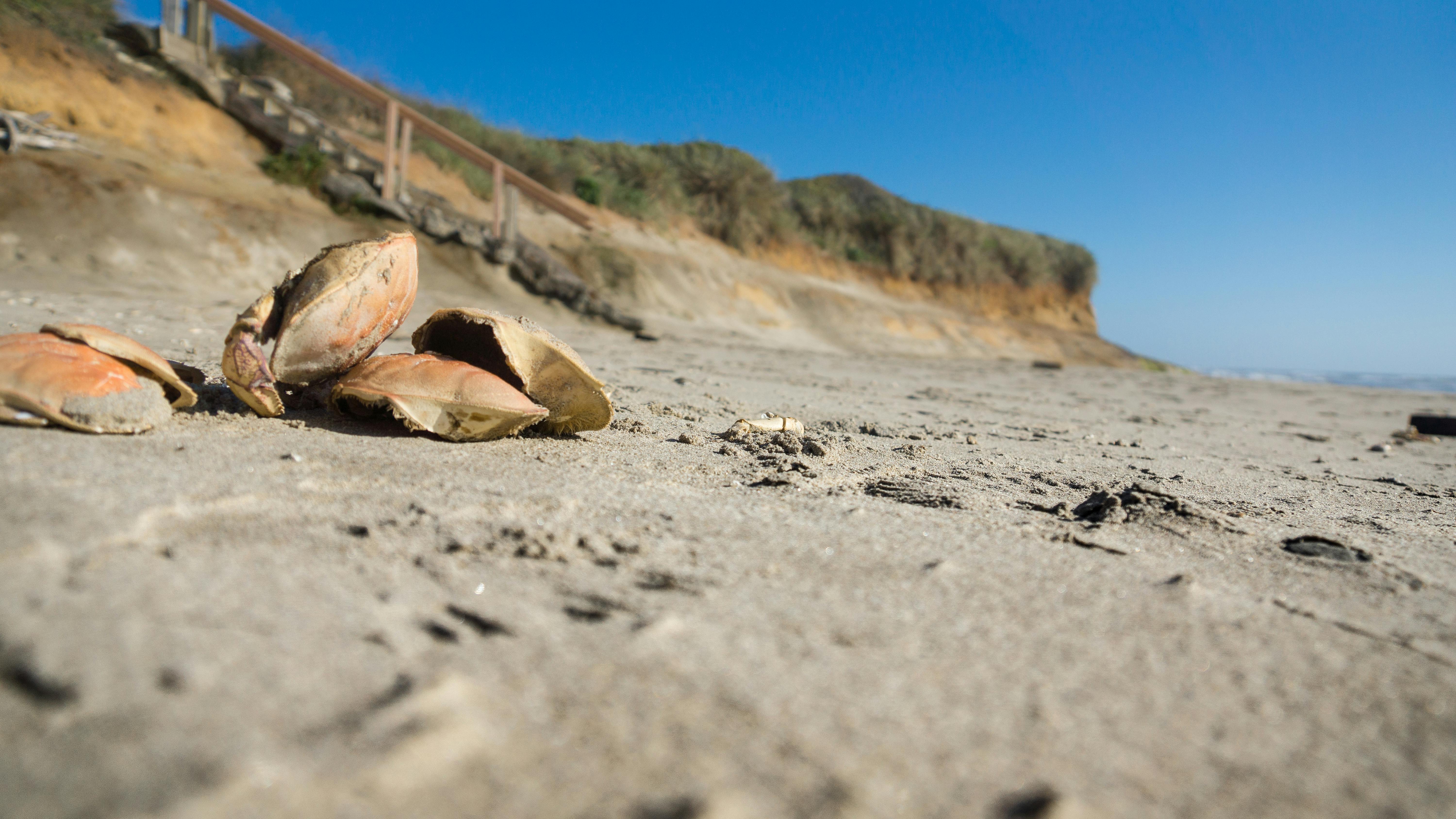 Free stock photo of beach, Bluff, coast