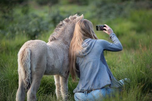 Mulher Ao Lado Do Burro Tirando Selfie Na Grama