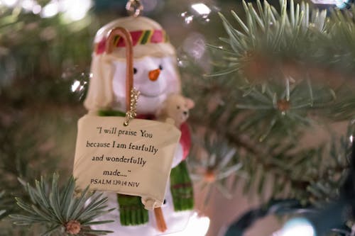 Foto d'estoc gratuïta de adorn nadalenc, arbre de Nadal, pro-life