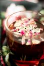 Close-Up Shot of a Glass of Tea