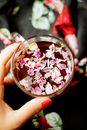 Person Holding Clear Glass Bowl With Pink and White Flowers