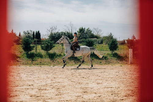 Woman Riding on a Horse 