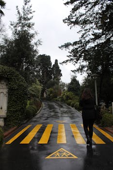 A woman walks along a wet garden path with yellow pedestrian markings after rain.