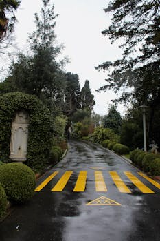 A tranquil road bordered by lush greenery and wet from recent rain, featuring a vibrant pedestrian crossing.