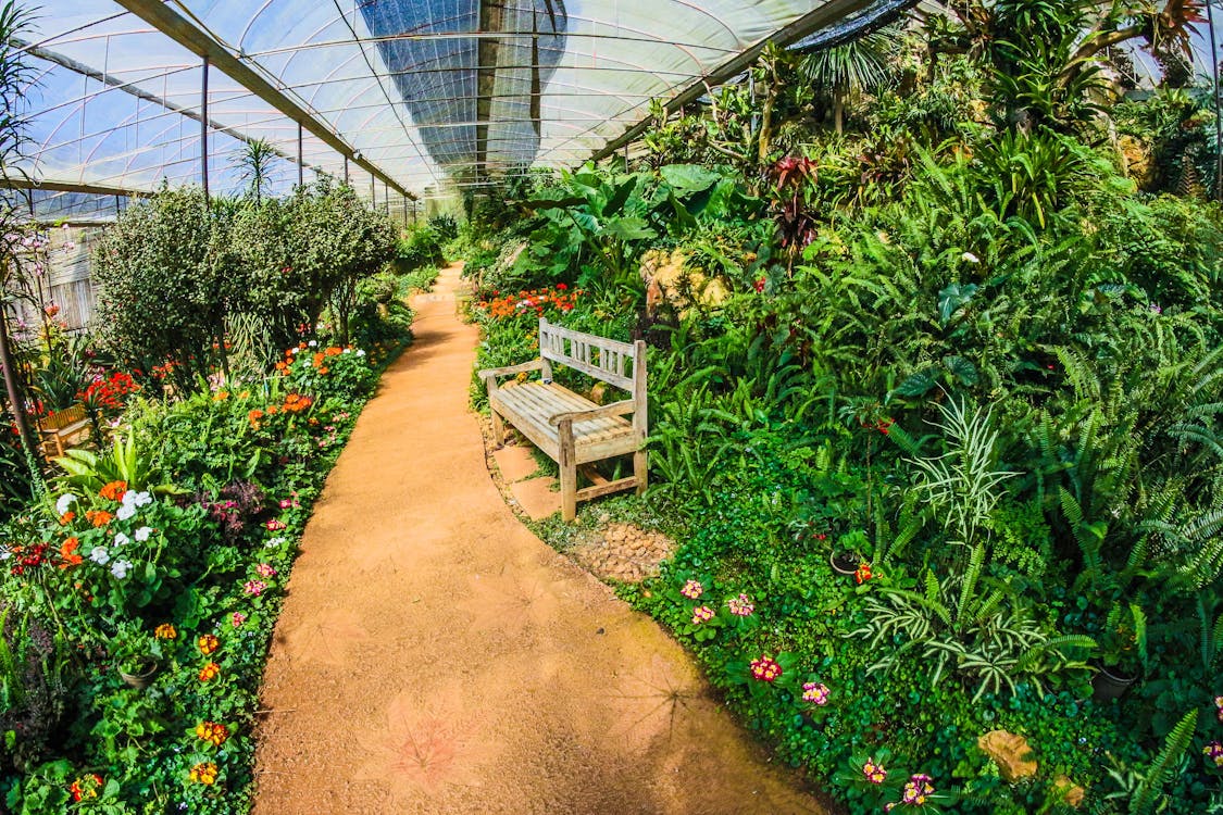 Greenhouse Garden
