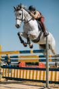 An Equestrian Riding Her Horse Jumping an Obstacle